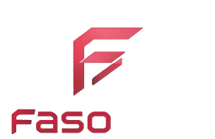 FasoLink